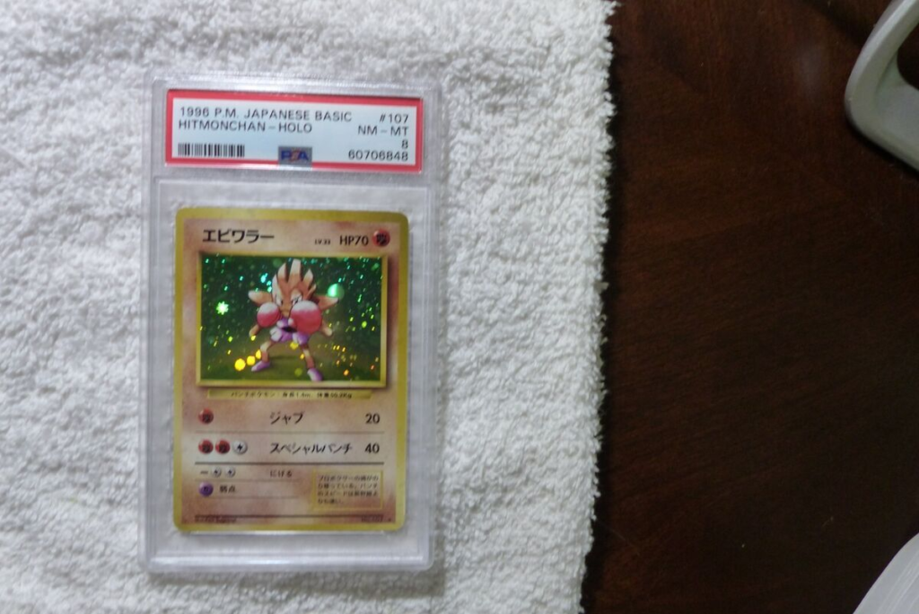 1996 p.m. japanese basic hitmochan holo